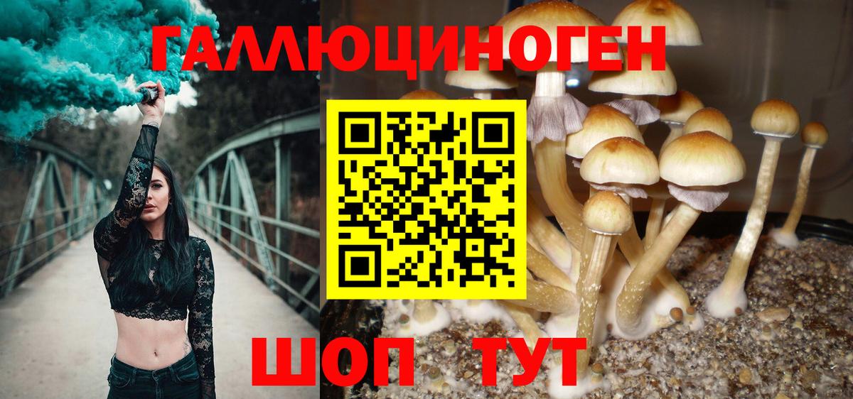 МЕФ Белогорск